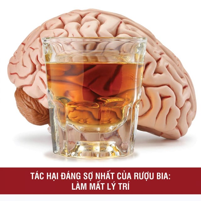 rượu ảnh hưởng đến bộ phận nào của não